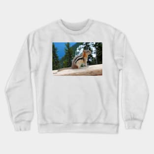 Chipmunk in Banff Alberta in Canada Crewneck Sweatshirt